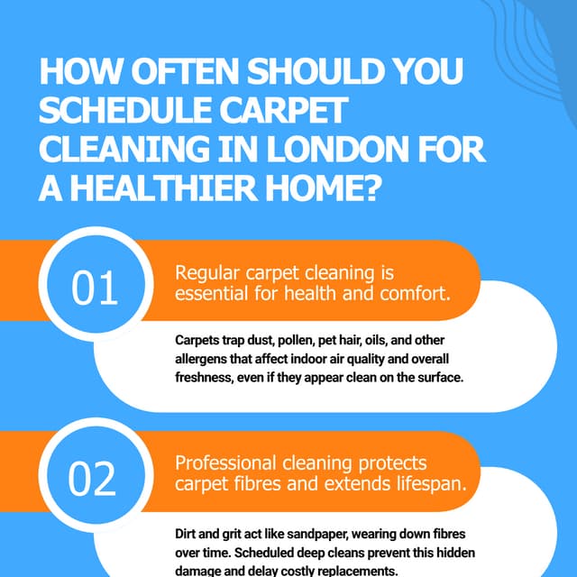 How Often Should You Schedule Carpet Cleaning in London for a Healthier ...