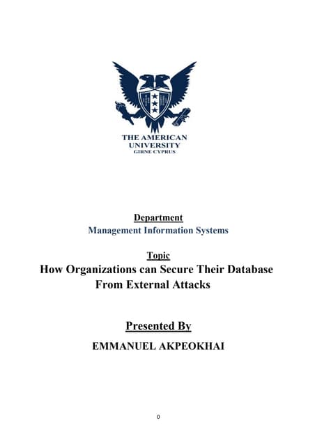 How Organizations can Secure Their Database From External Attacks