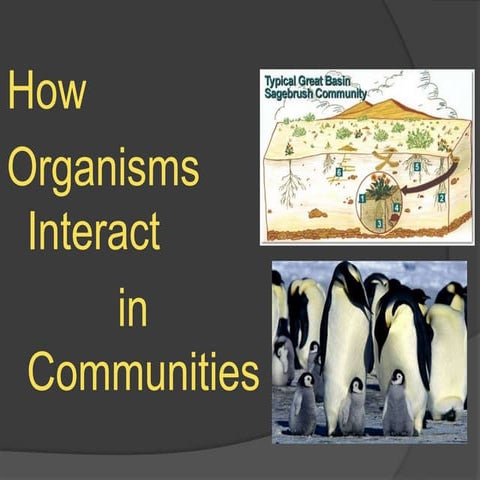 How organisms interact in communities
