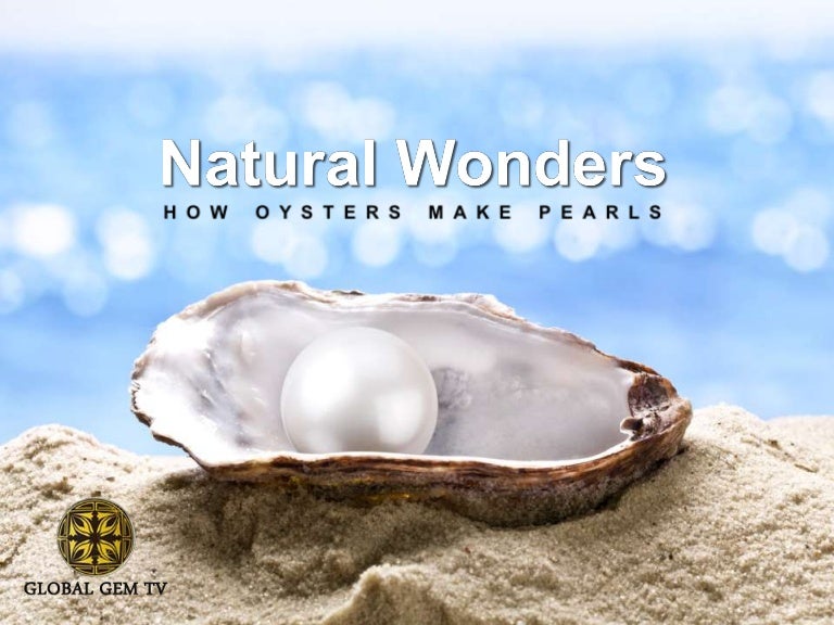 How Oysters Make Pearls