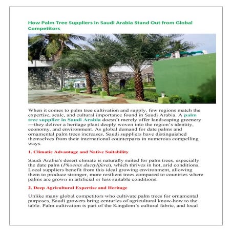 How Palm Tree Suppliers in Saudi Arabia Stand Out from Global ...