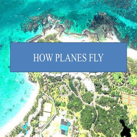 How planes fly