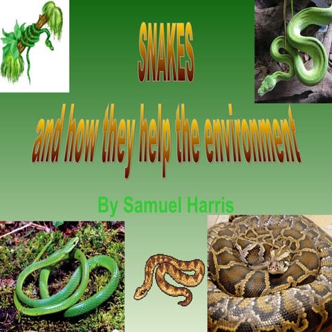 How snakes help the environment-Samuel H | PPT