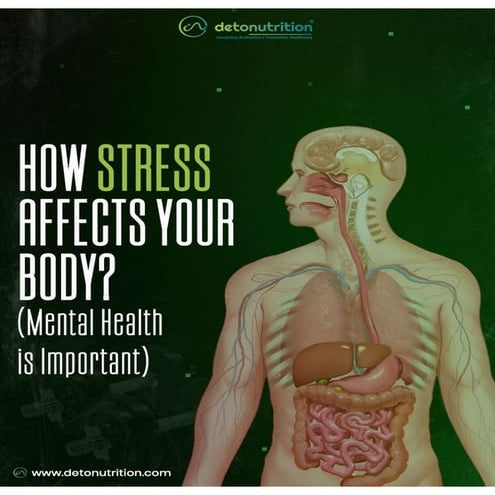 How stress affects your body - DETONUTRITION | PPT