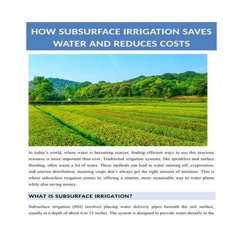How Subsurface Irrigation Saves Water and Reduces Costs