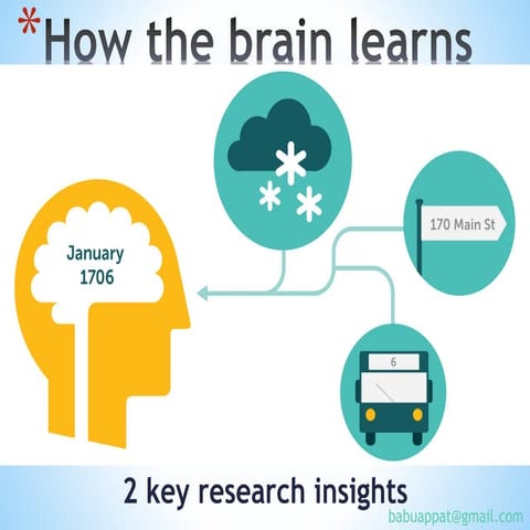 How the brain learns,  formation of new neuronal networks, makiong your meory...