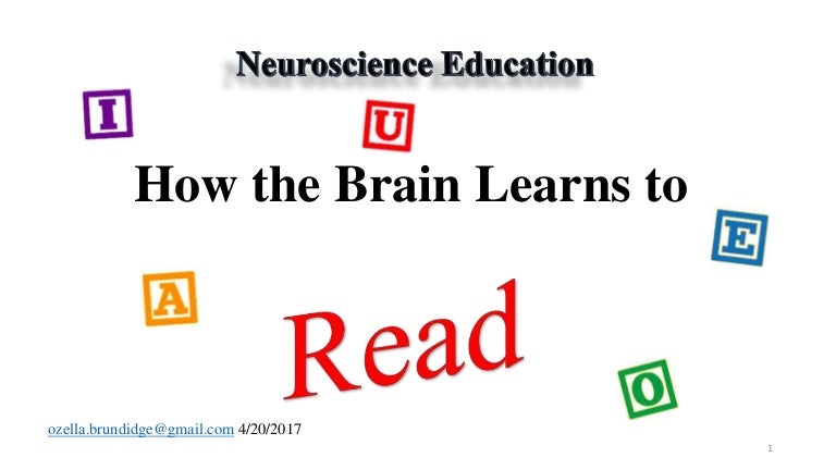 How the brain learns to read