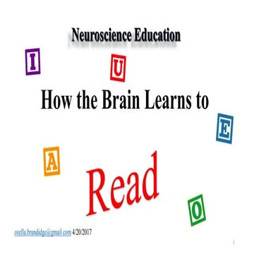 How the brain learns to read | PPTX