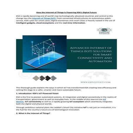 Perimeter Intrusion Detection System for Data Centers in Kuwait | PDF