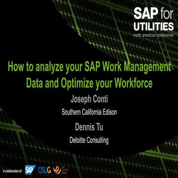 How to analyze your sap data and optimize your workforce