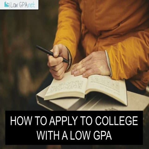 Higher Education- 