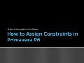 understanding constraints and relationships in primavera pert chart explained