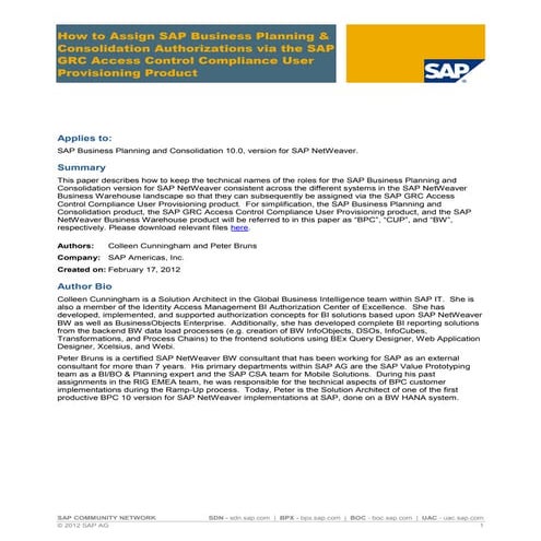 How to assign sap business planning and consolidation authorizations via the ...