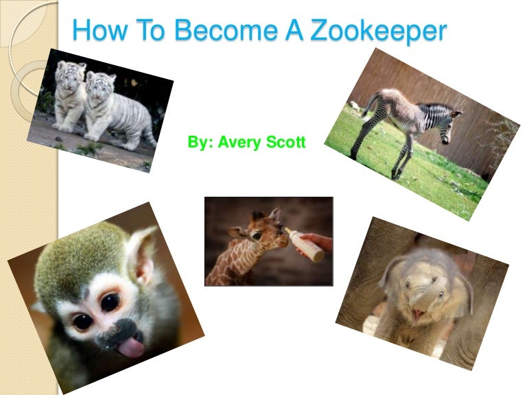 How to a zookeeper by avery scott
