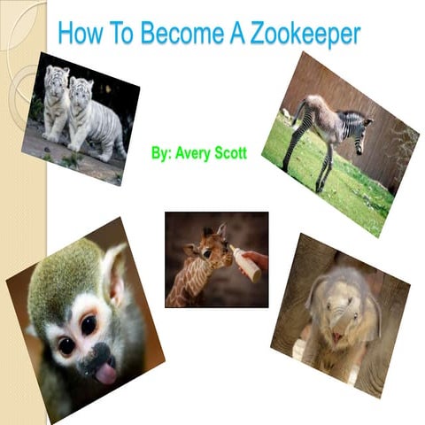 Young.n zookeeper | PPTX