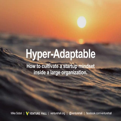 Hyper-Adaptable: The Startup Mindset