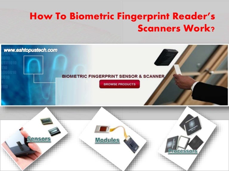How to biometric fingerprint reader’s scanners work