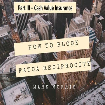 Transactional Insurance Overview | PDF
