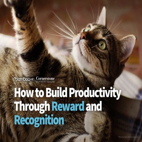 How to Build Productivity Through Reward and Recognition