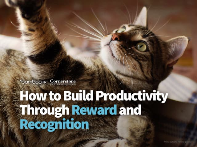 How to Build Productivity Through Reward and Recognition
