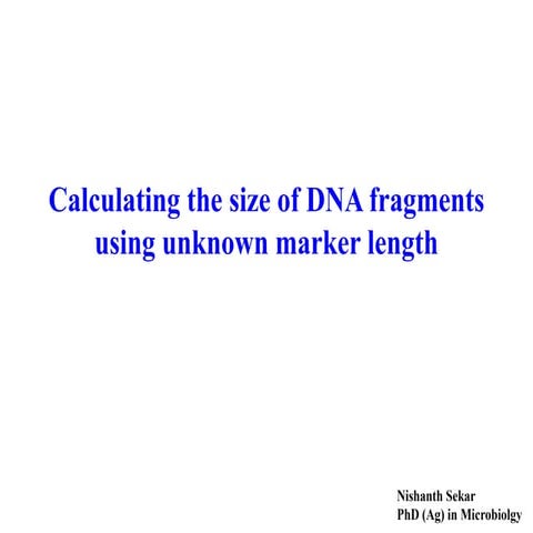 How to calculate the size of DNA fragments using unknown marker length