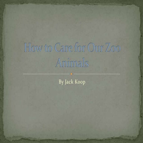 How to care for zoo animals