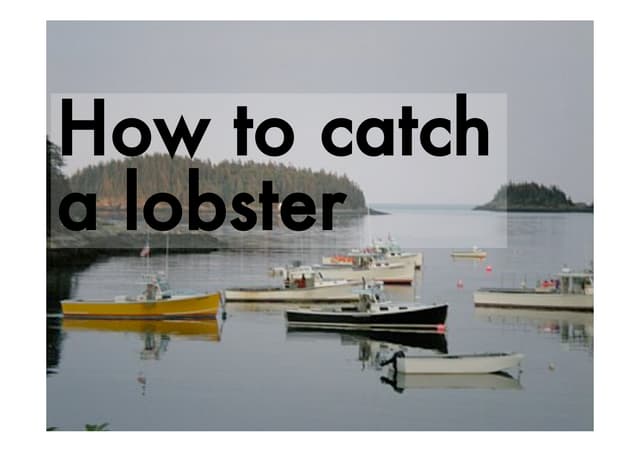 How To Catch A Lobster