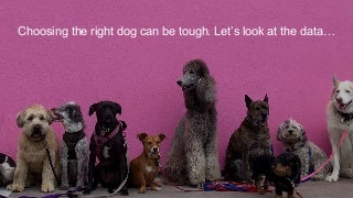 How to choose a dog PPT.pptx