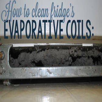 How to clean a fridge's evaporative coils