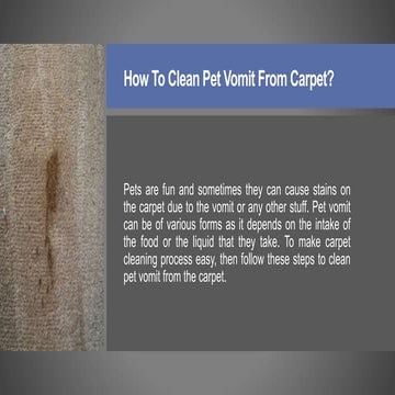 How to clean pet vomit from carpet | PPT