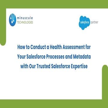 How to Conduct a Health Assessment for Your Salesforce Processes and ...