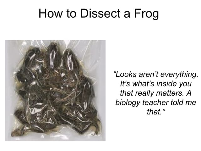 Characteristics of living things | PPT