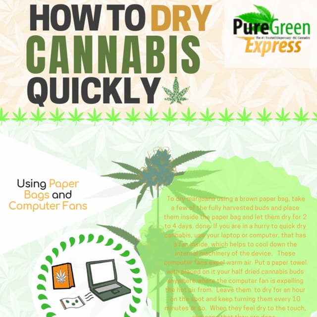 How to dry cannabis quickly