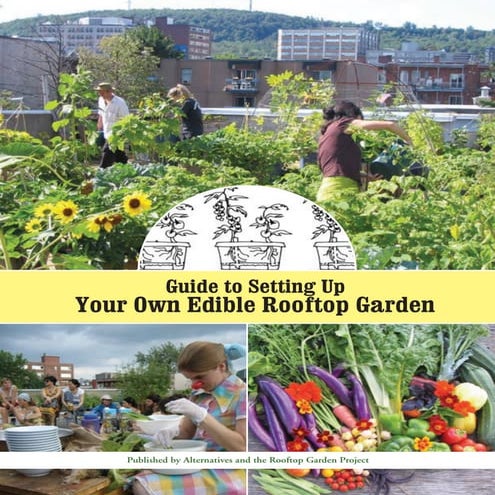 Basic Urban Gardening | PDF