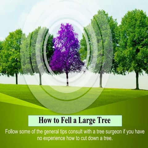 How to Fell a Large Tree | PPT