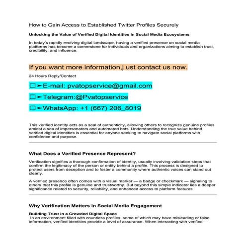 How to Gain Access to Established Twitter Profiles Securely.docx