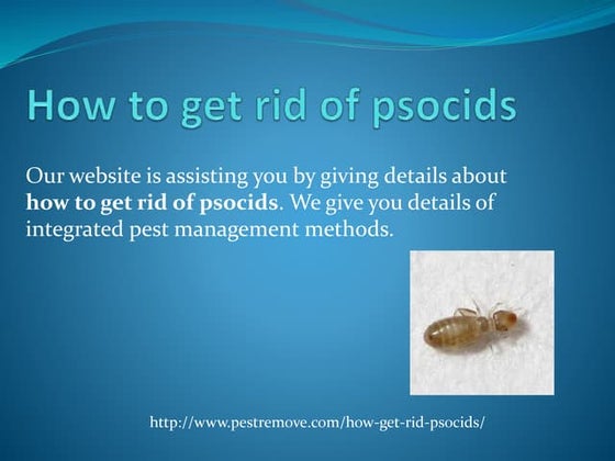 Easy methods for biological control of locusts | PPT