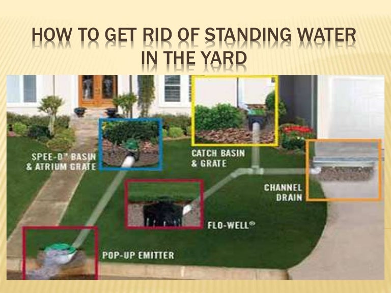 How to get rid of standing water in the yard