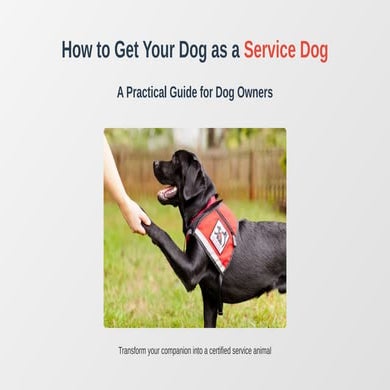 Service Dog Presentation | PPTX