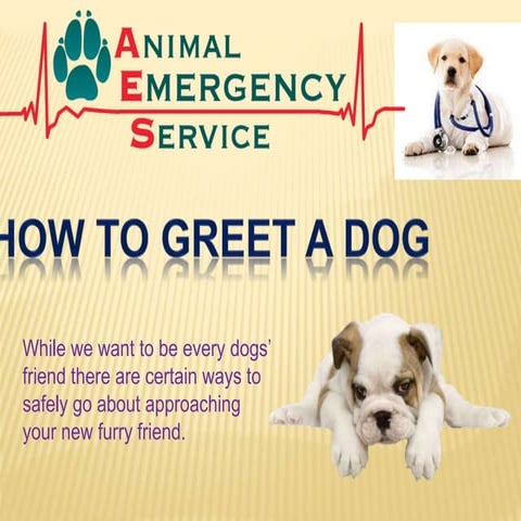How To Greet A Dog By AES