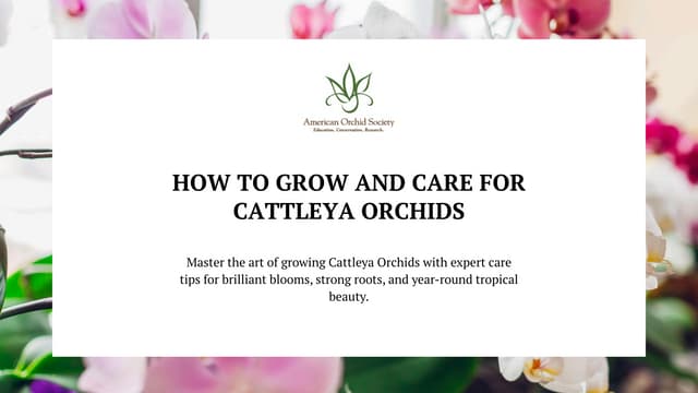 How to Grow and Care for Cattleya Orchids.pdf