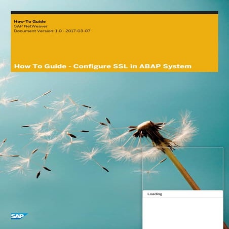 How to guide   configure ssl in abap system