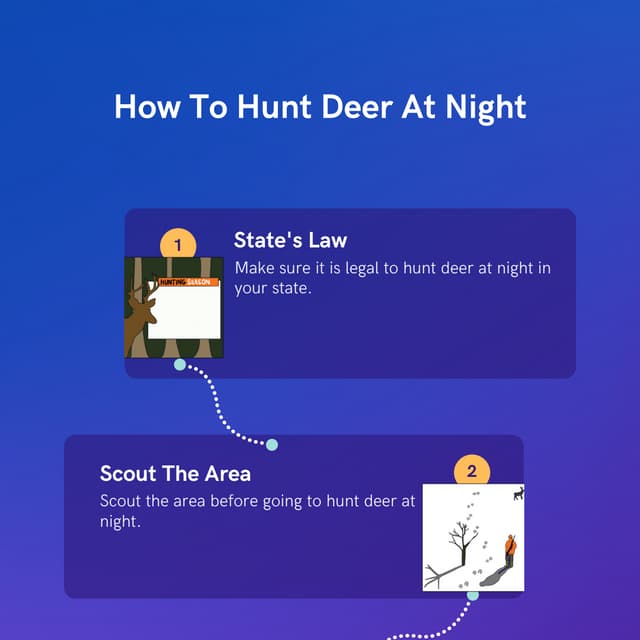 How To Hunt Deer At Night PDF