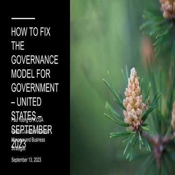 How to improve the Governance Model for the Public Sector - United States - S...