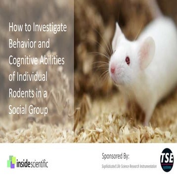 How to investigate behavior and cognitive abilities in rodents in a social gr...