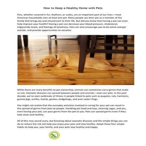 How to keep a healthy home with pets