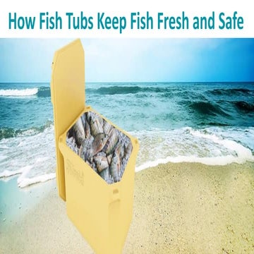 How To Keep Fish Fresh and Safe.pdf