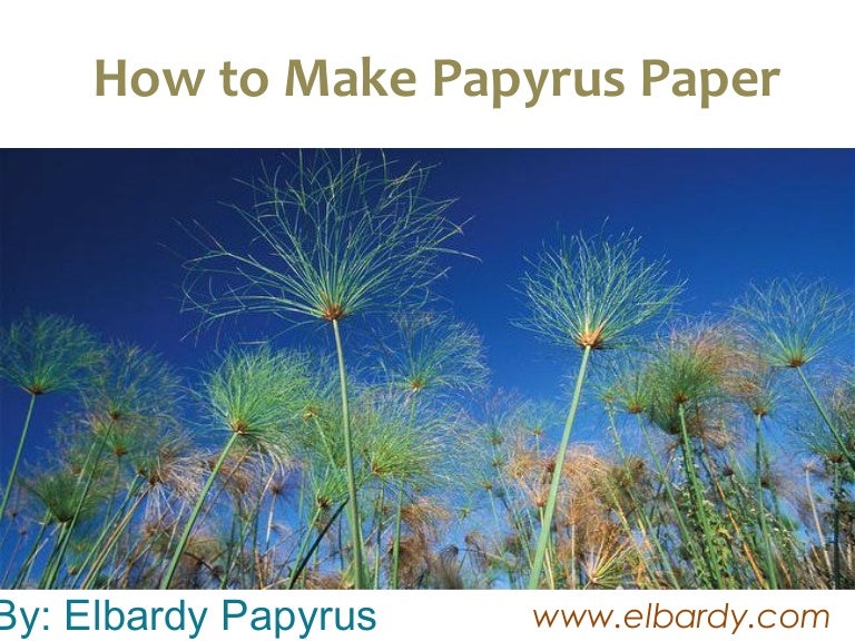 How to make papyrus paper