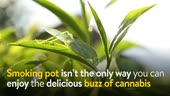 How To Make Marijuana Tea and Have ...