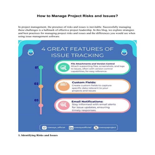 How to Manage Project Risks and Issues ?